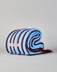 Striped Scarf / Chocolate & Sky Blue