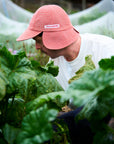 Harvest Hat
